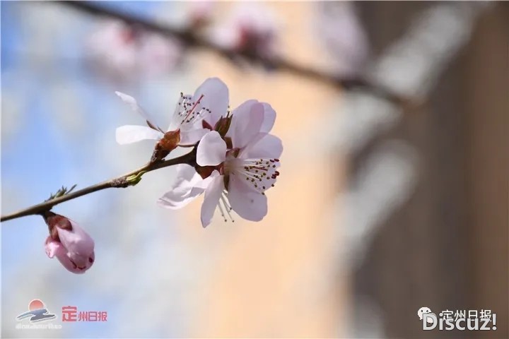 185308w6jg1tx9771qql18.jpg