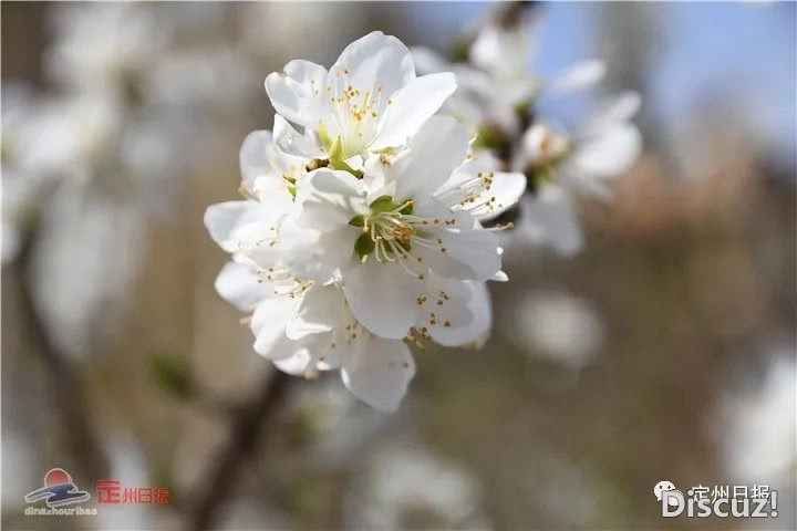 185309u5rr00540ldhh38t.jpg