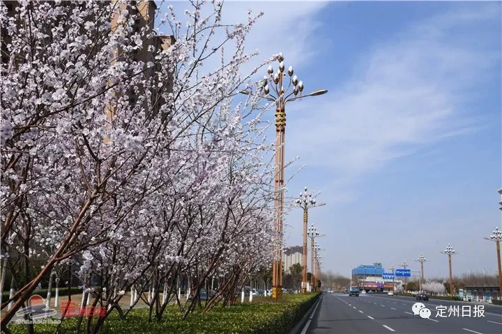185312fvzyp6yeoipypuyt.jpg