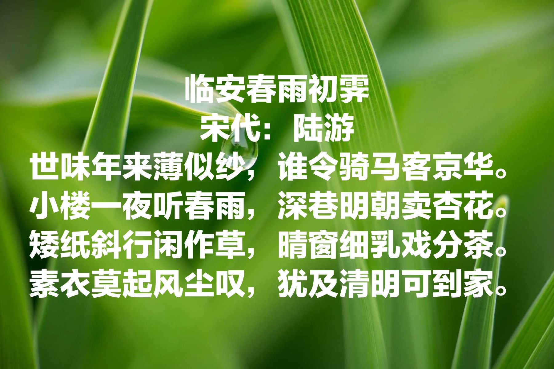 134618mxxrmazf7az4lpxm.jpg