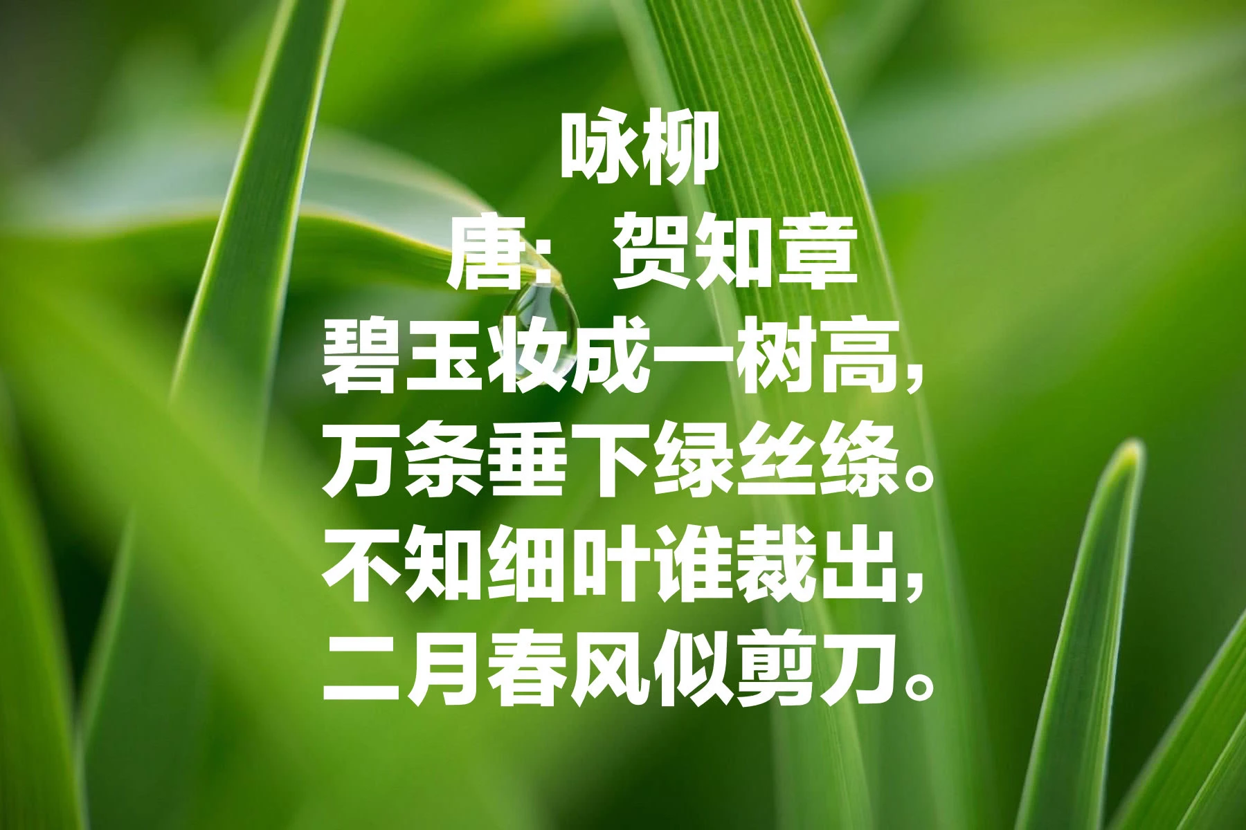 134620r2ficucuk5uw016i.jpg
