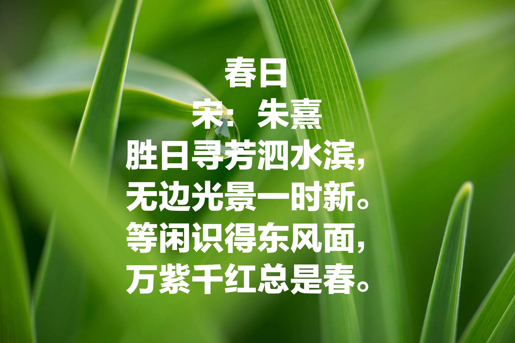 134621s4ysg4s7hkzo3w44.jpg