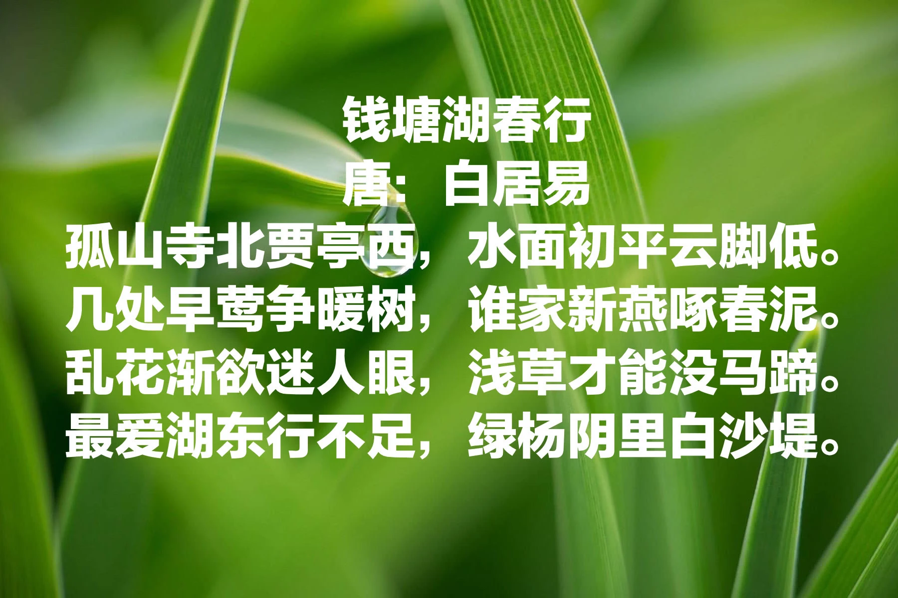 134623dy438nowk28t63t8.jpg