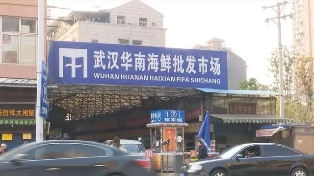 223206ra55cojh7h5hqcqh.jpg