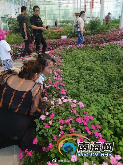090633lgr86rzgnn89g8si.jpg
