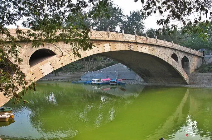 192249ibbzif5spp44www1.jpg