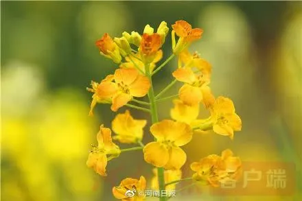 095005hyyuyssg4spyp2jy.jpg