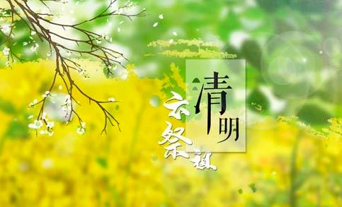 030503qn0j5k7bjtpppc2n.jpg
