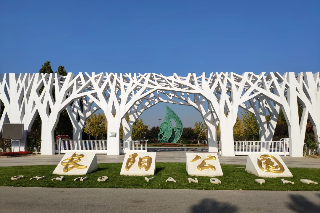 061519m12fpr6hlh6zk9yk.jpg