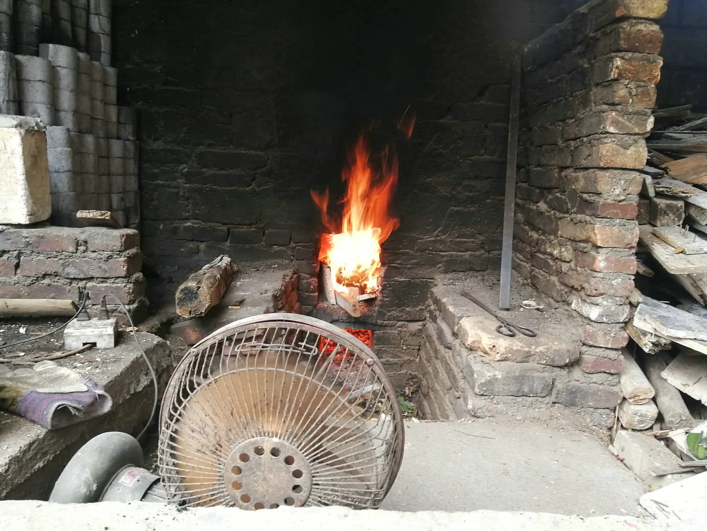 155016fi2v3guiniythgld.jpg