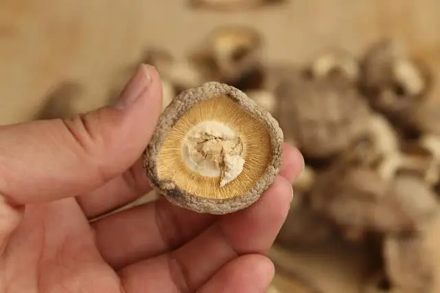 090159lrnkkntkzgqye1mm.jpg