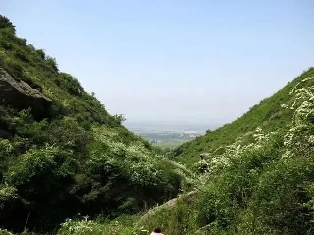 201300l1elsnzpsvpwpswt.jpg