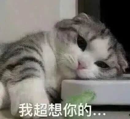 110549mlulqimxmlqe2101.jpg
