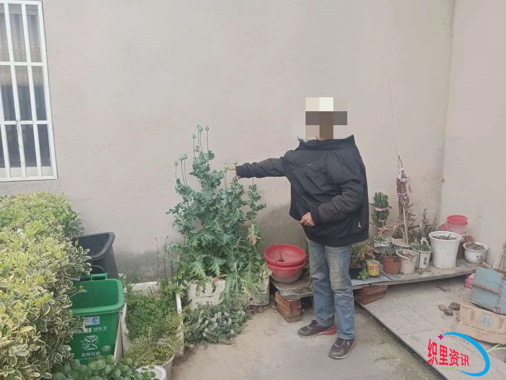 0.jpg